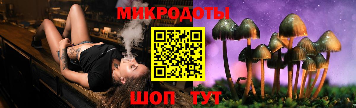 Псилоцибиновые грибы прущие грибы Лабытнанги